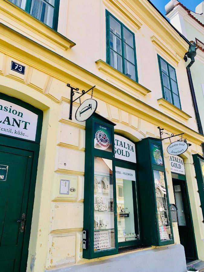 Loft Natalya Gold Apartment Cesky Krumlov Luaran gambar