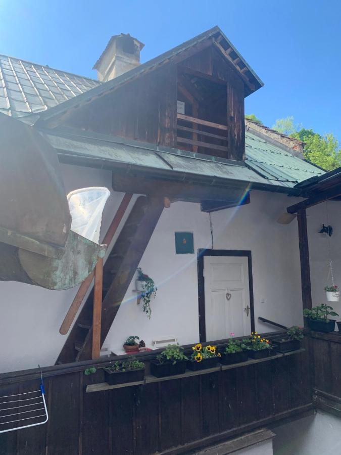 Loft Natalya Gold Apartment Cesky Krumlov Luaran gambar